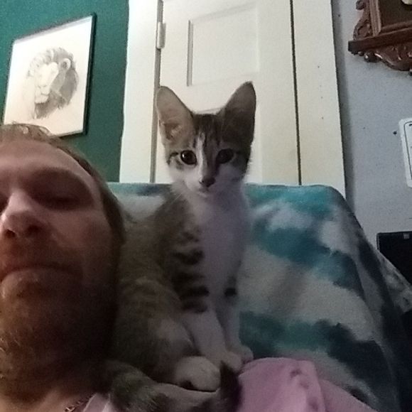 Meet your Posher, Herbert - Picture 1 of 1